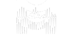 Moldes y moldes