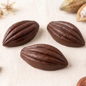 Baya de Cacao Grande 50 Gramos