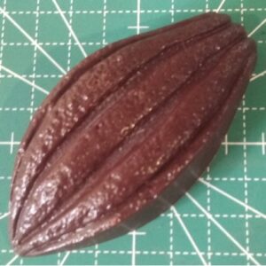 Baya de Cacao Grande