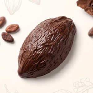 Baya de Cacao Gigante 340 gramos