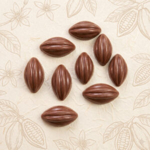 Mini Baya de Cacao 3 Gramos